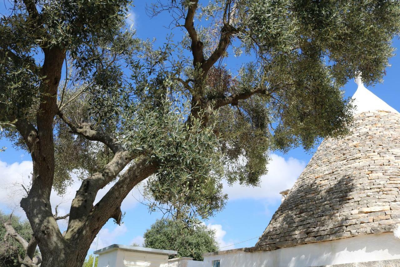 Trulli Alla Controra Conversano Luaran gambar
